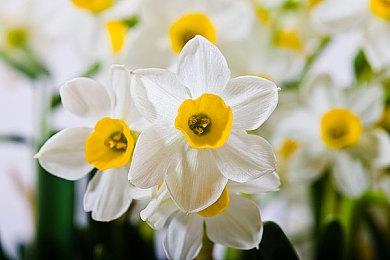 科乐美：尚未公开的新作正在“深入而安静地进行开发”